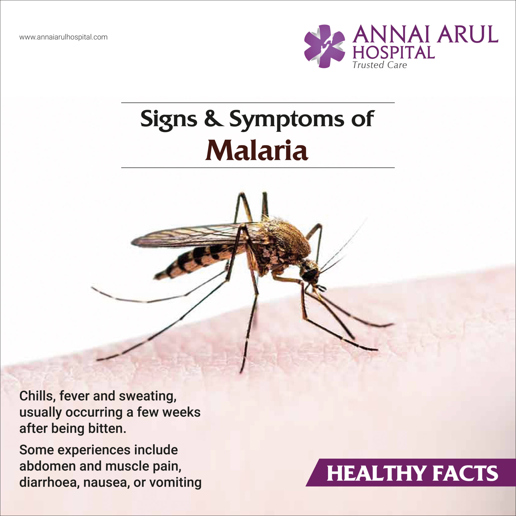 Signs & Symptoms of Malaria – Multispeciality Hospitals in Chennai