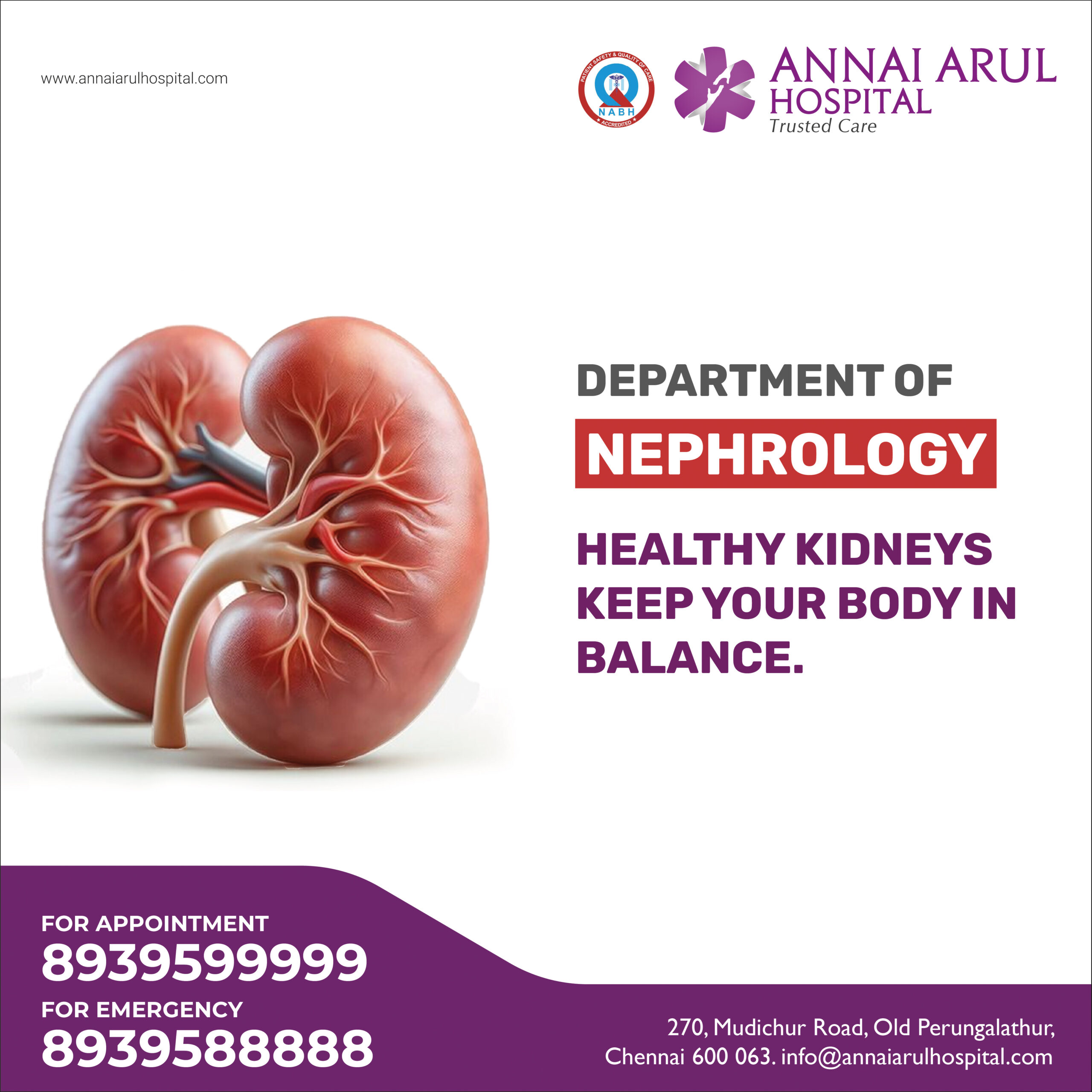 Kidney
