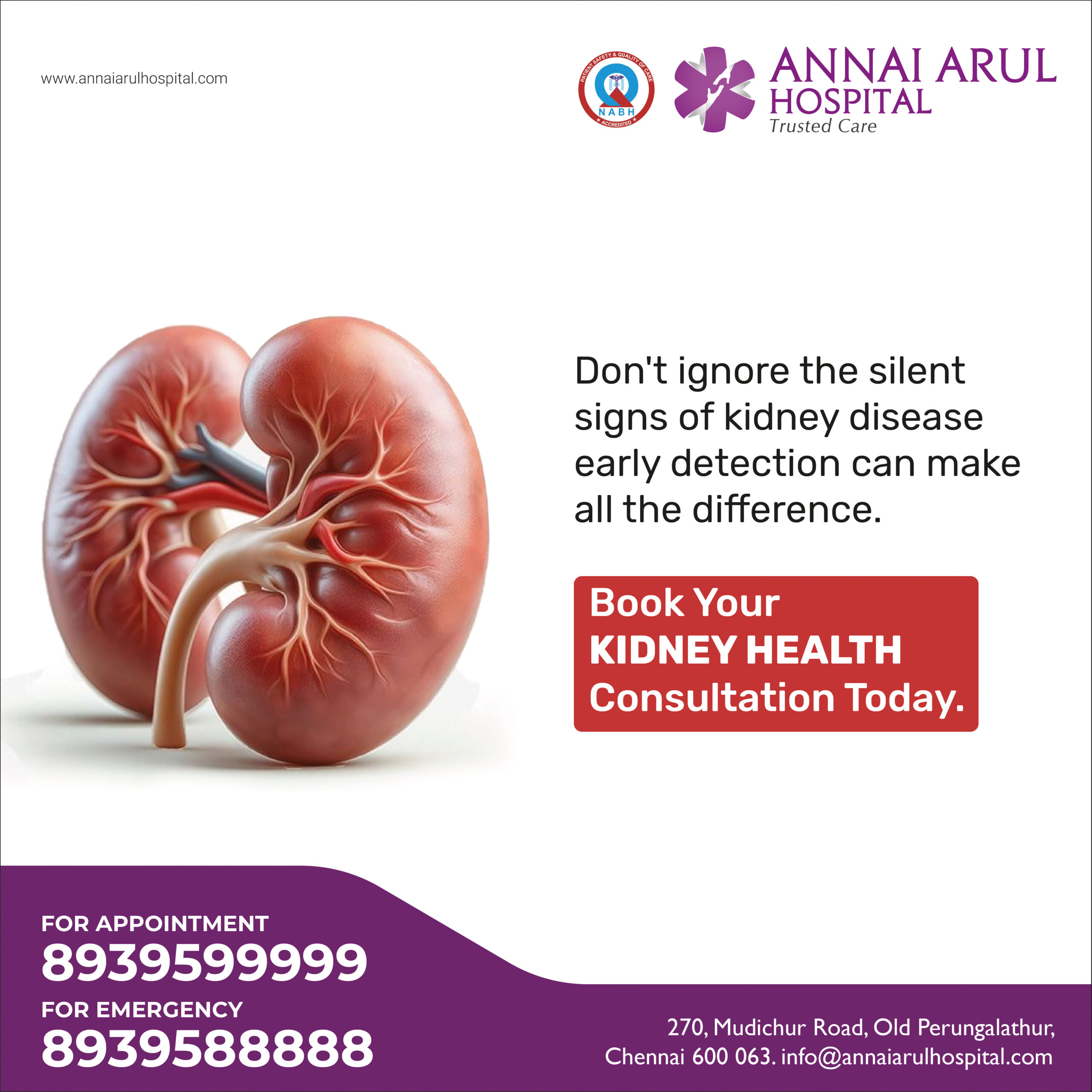 Kidney